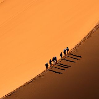 250km Desert Race Food &  Nutrition Pack Vegetarian