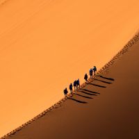 250km Desert Race Food &  Nutrition Pack Vegetarian
